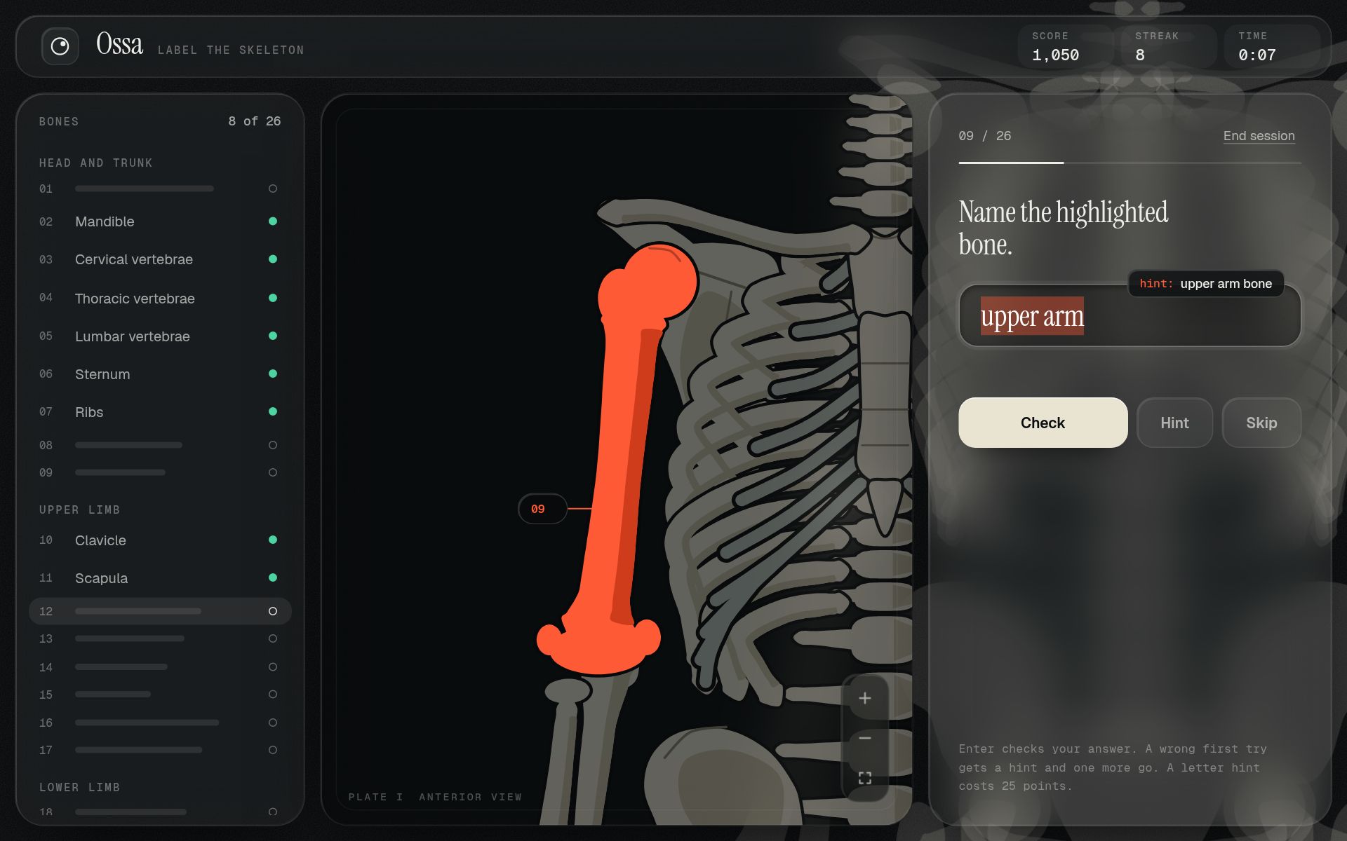 The Ossa game in Type mode. The humerus is highlighted on a zoomed view of the shoulder, and a small popup beside the answer box reads: hint, upper arm bone.